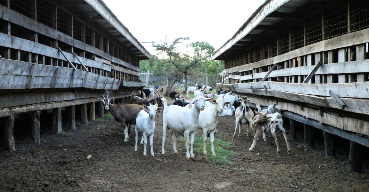 Sangare Gardens Hotel Mweiga Buitenkant foto